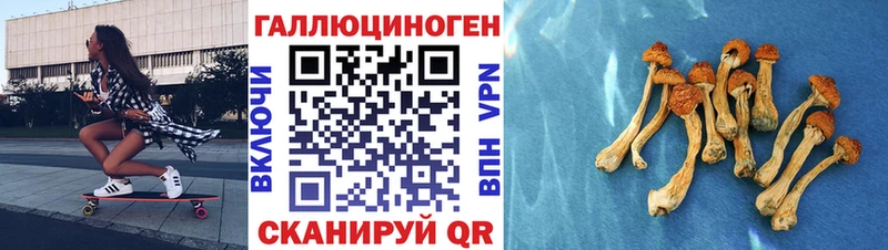 Галлюциногенные грибы Psilocybe  Сатка 