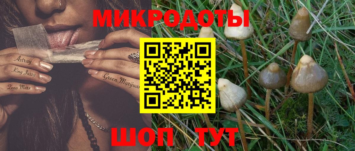 Галлюциногенные грибы Magic Shrooms Сатка