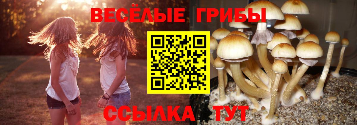 Галлюциногенные грибы ЛСД  Вход с VPN  Галлюциногенные грибы мицелий  Сатка 
